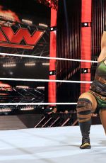 WWE - Raw Digitals 11/23/2015