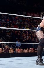 WWE - Survivor Series 2015 Digitals