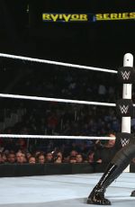 WWE - Survivor Series 2015 Digitals