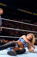 WWE - Survivor Series 2015 Digitals