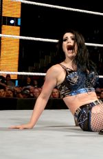 WWE - Survivor Series 2015 Digitals