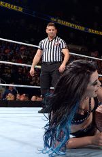WWE - Survivor Series 2015 Digitals