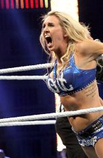 WWE - Survivor Series 2015 Digitals