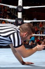 WWE - Survivor Series 2015 Digitals