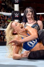 WWE - Survivor Series 2015 Digitals
