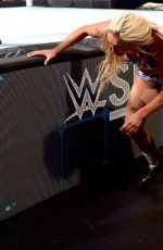 WWE - Survivor Series 2015 Digitals