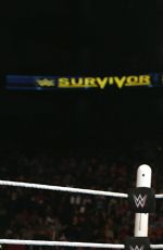 WWE - Survivor Series 2015 Digitals