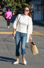 ALESSANDRA AMBROSIO in Jeans Out Shopping in Brentwood 12/02/2015