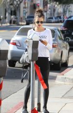 ALESSANDRA AMBROSIO Out in Los Angeles 12/11/2015