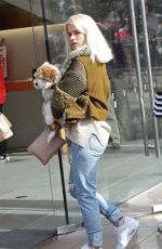 ALICE EVE Out Shoping at The Grove in Los Angele 12/24/2015