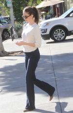 ALISON BRIE Out Shopping in Los Angeles 12/08/2015
