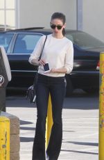 ALISON BRIE Out Shopping in Los Angeles 12/08/2015