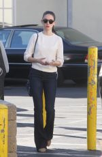 ALISON BRIE Out Shopping in Los Angeles 12/08/2015