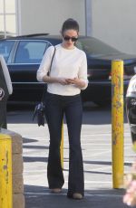 ALISON BRIE Out Shopping in Los Angeles 12/08/2015