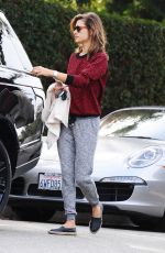 ALLESANDRA AMBROSIO at Brentwood Country Mart in Santa Monica 12/10/2015