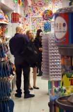 AMANDA SEYFRIED at the Candy Store in West Hollywood 12/08/2015