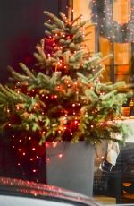 ANJA RUBIK Out for Dinner in Warsaw 12/21/2015