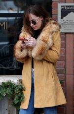 DAKOTA JOHNSON Out and About in Aspen 12/22/2015