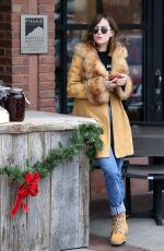 DAKOTA JOHNSON Out and About in Aspen 12/22/2015