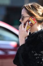 DAKOTA JOHNSON Out and About in Larchmont Village 12/01/2015