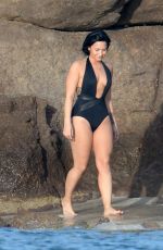 DEMI LOVATO in Swimsuit in St. Barts 12/17/2015