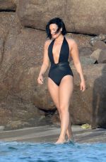 DEMI LOVATO in Swimsuit in St. Barts 12/17/2015