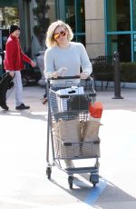 HILARY DUFF Out Shopping in Los Angeles 12/24/2015
