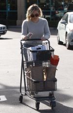 HILARY DUFF Out Shopping in Los Angeles 12/24/2015