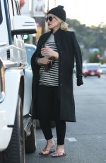 HILARY DUFF Out Shopping in Los Angeles 12/26/2015