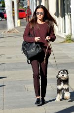 JAMIE CHUNG Walks Her Dog in Los Angeles 12/01/2015