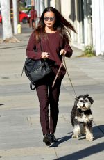 JAMIE CHUNG Walks Her Dog in Los Angeles 12/01/2015