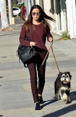 JAMIE CHUNG Walks Her Dog in Los Angeles 12/01/2015