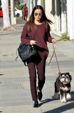 JAMIE CHUNG Walks Her Dog in Los Angeles 12/01/2015