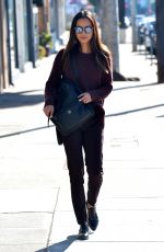 JAMIE CHUNG Walks Her Dog in Los Angeles 12/01/2015