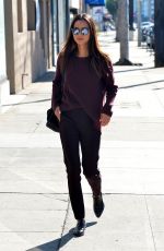 JAMIE CHUNG Walks Her Dog in Los Angeles 12/01/2015