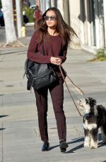 JAMIE CHUNG Walks Her Dog in Los Angeles 12/01/2015