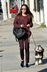 JAMIE CHUNG Walks Her Dog in Los Angeles 12/01/2015