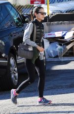 JORDANA BREWSTER Out and About in Brentwood 12/15/2015