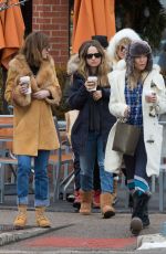 KATE HUDSON, MELANIE GRIFFITH and DAKOTA JOHNSON Out Shopping in Aspen 12/22/2015