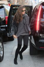 LILY ALDRIDGE Out and About in New York 12/04/2015