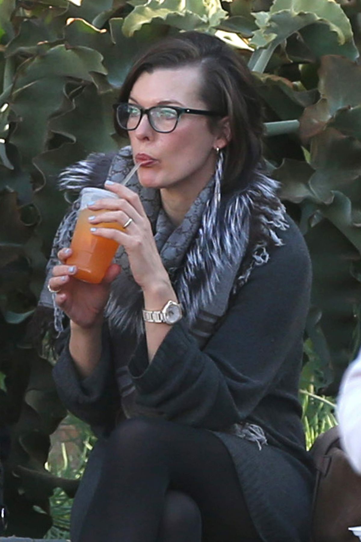 MILLA JOVOVICH at The Melrose Place Farmers Market in West Hollywood 12/20/2015 MILLA JOVOVICH at The Melrose Place Farmers Market in West Hollywood 12/20/2015