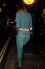 NICOLE SCHERZINGER Leaves Sexy Fish Restaurant in London 12/15/2015