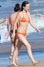 OLIVIA WILDE in Bikini at a Beach in Hawaii 12/12/2015