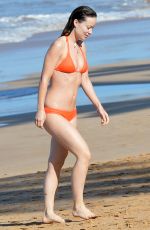 OLIVIA WILDE in Bikini at a Beach in Hawaii 12/12/2015
