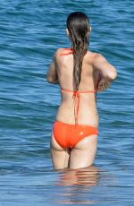 OLIVIA WILDE in Bikini at a Beach in Hawaii 12/12/2015