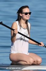 OLIVIA WILDE in Bikini on the Beach in Hawaii 12/13/2015