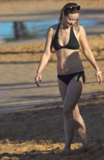 OLIVIA WILDE in Bikini Paddleboarding in Maui 12/14/2015