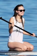 OLIVIA WILDE in Bikini Paddleboarding in Maui 12/19/2015