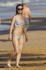 OLIVIA WILDE in Bikini Paddleboarding in Maui 12/19/2015