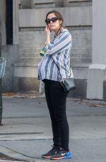 Pregnant ROSE BYRNE Out and About in New York 12/13/2015